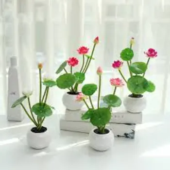 7a-lotus plant-6420109-16985.webp